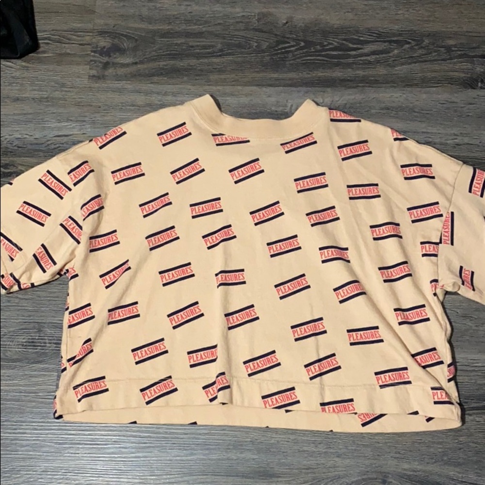Pleasures Crop Top